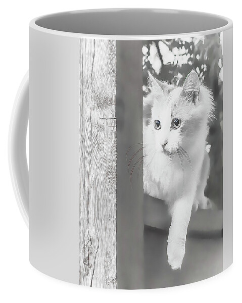Kitty Coffee Mug featuring the photograph Sneak Peek by Jennifer Grossnickle