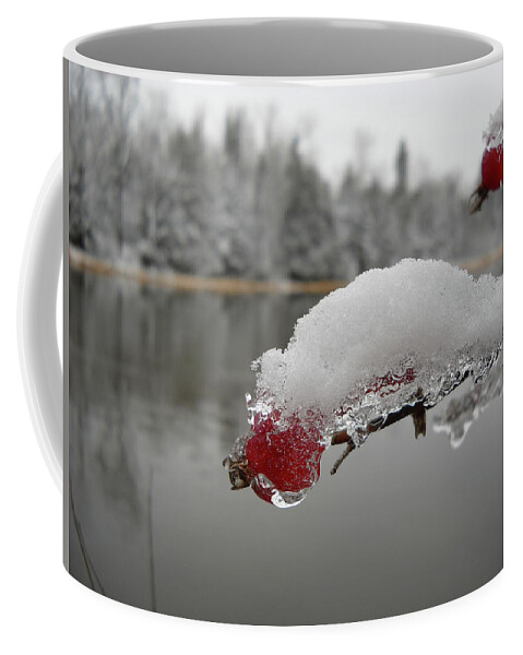 Snow Coffee Mug featuring the photograph Snow and Ice on Wild Rose Hip by Kent Lorentzen