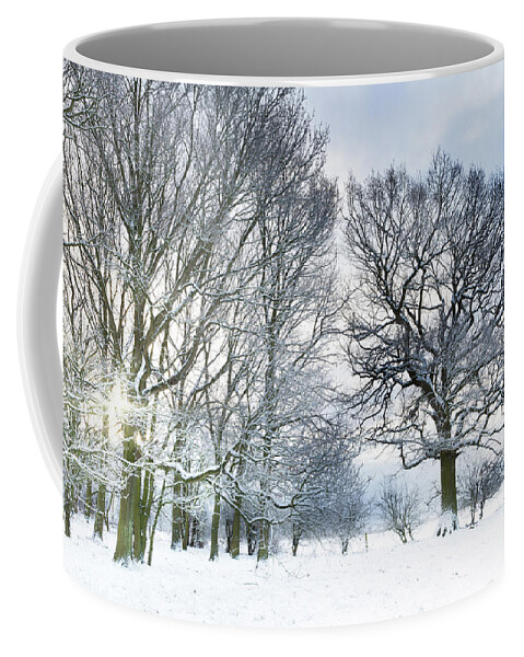 Snow Coffee Mug featuring the photograph Snow covered forest with early morning sunrise by Simon Bratt
