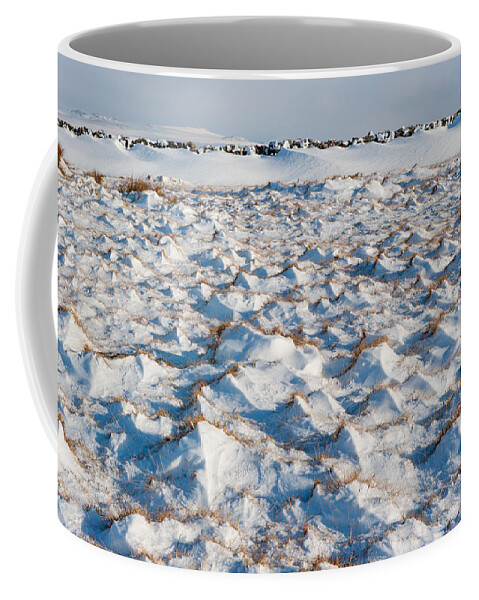 Winter Coffee Mug featuring the photograph Snow Covered Grass by Helen Jackson