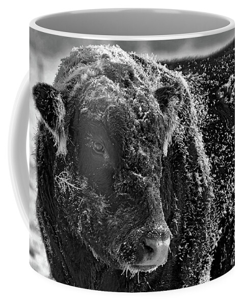 Ice Coffee Mug featuring the photograph Snow Covered Ice Bull by Amanda Smith
