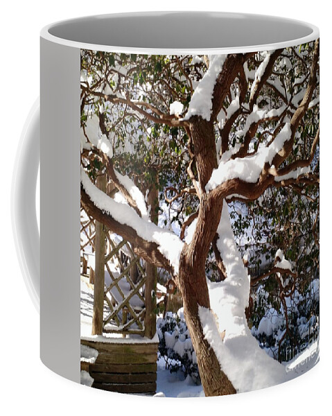 Snow Coffee Mug featuring the photograph Snow covered Rhododendron by Anita Adams