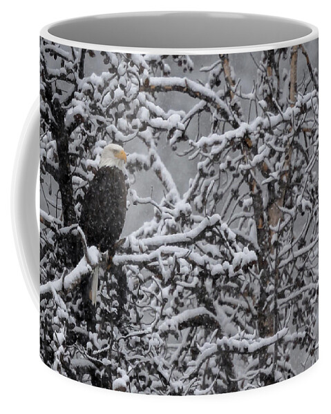 Eagles Coffee Mug featuring the photograph Snow Eagle by Gary Migues