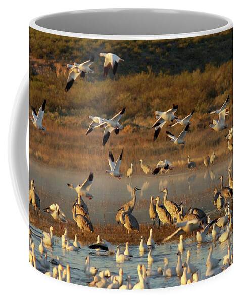 Snow Geese Coffee Mug featuring the photograph Snow Geese and Sandhills by Leda Robertson