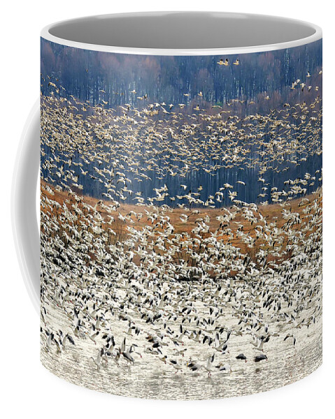 Snow Geese Coffee Mug featuring the photograph Snow Geese At Willow Point by Lois Bryan