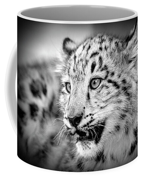 Snow Leopard Coffee Mug featuring the photograph Snow Leopard by Deborah Penland