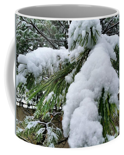 Snow Coffee Mug featuring the photograph Snow on Evergreen Branch by Vic Ritchey