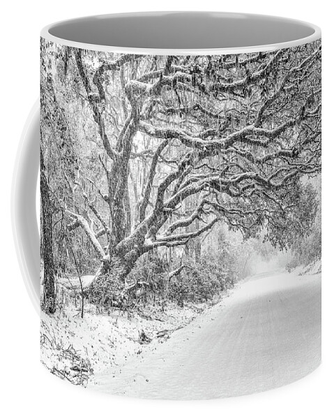Snow Coffee Mug featuring the photograph Snow On Witsell Rd - Oak Tree by Scott Hansen