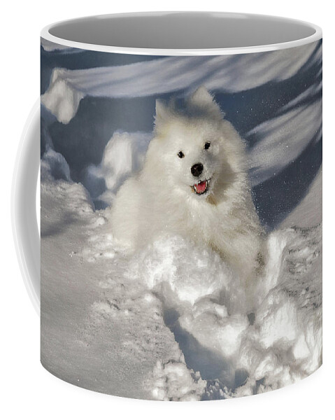 Dog Coffee Mug featuring the photograph Snow Queen by Lois Bryan
