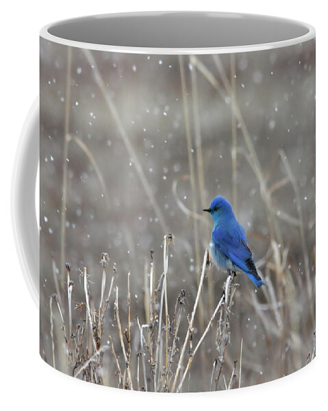 Blue Coffee Mug featuring the photograph Snow by Ronnie And Frances Howard