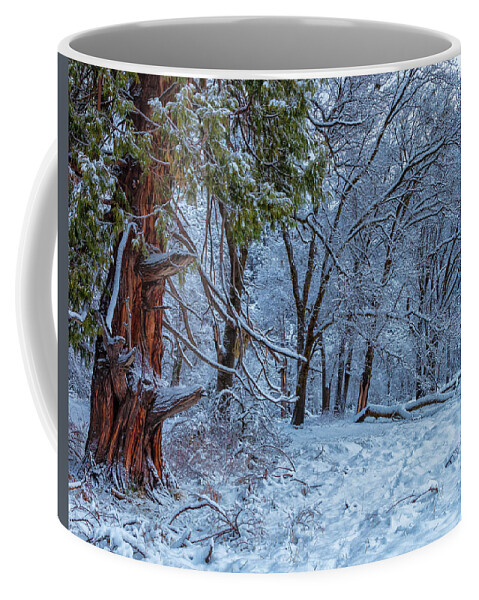Landscape Coffee Mug featuring the photograph Snow Trees by Jonathan Nguyen