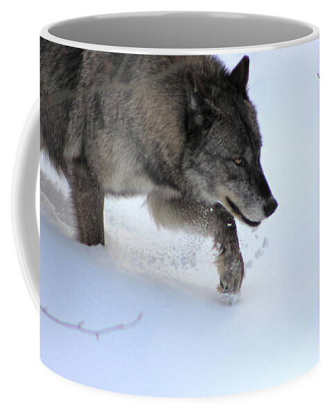 Wolf Coffee Mug featuring the photograph Snow Walker by Azthet Photography