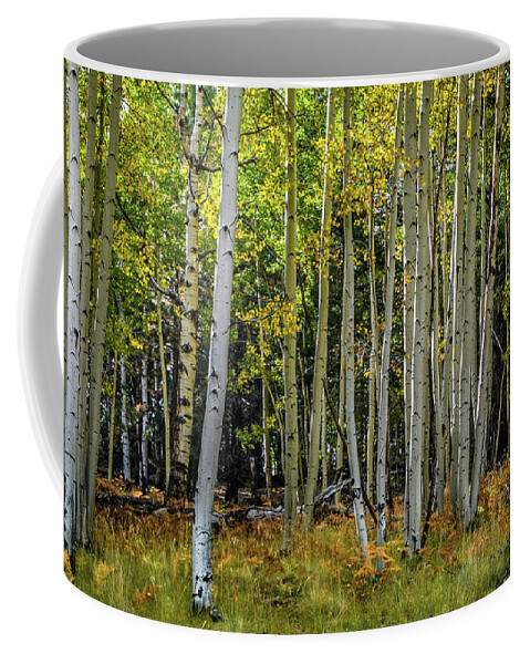 Trees Coffee Mug featuring the photograph Snowbowl Aspens by David Meznarich