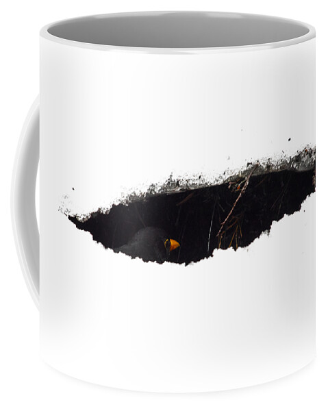 Eurasian Blackbird Coffee Mug featuring the photograph Snowcavebird. Eurasian blackbird TRANSPARENT by Jouko Lehto