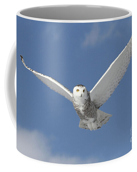 Owl Coffee Mug featuring the photograph Snowy Angel by Heather King