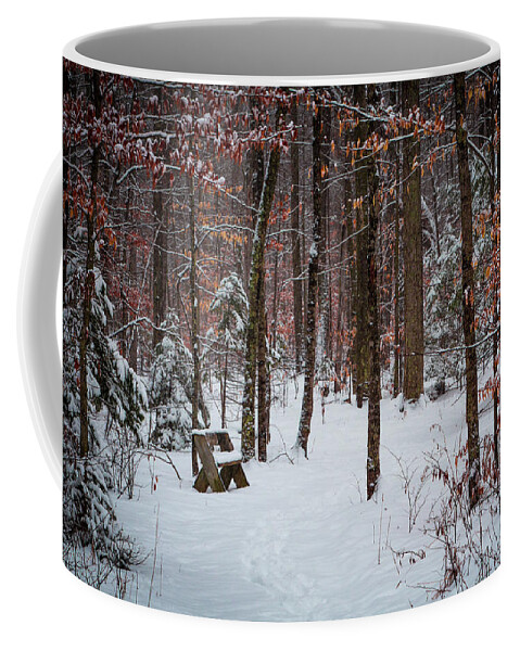 Fine Art Coffee Mug featuring the photograph Snowy bench by David Heilman