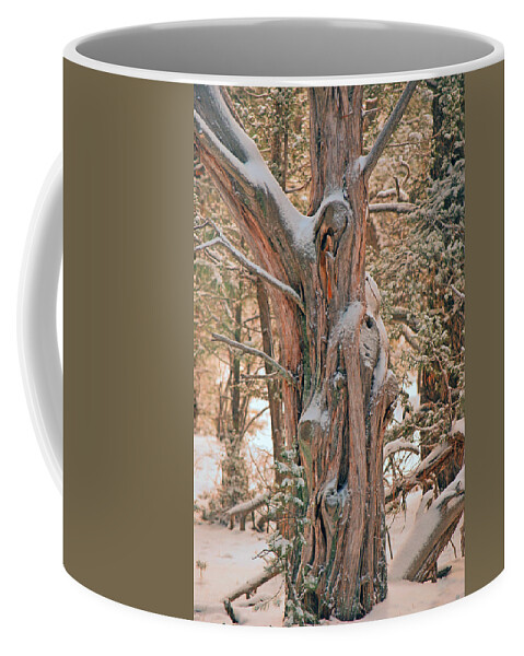 Fine Art Coffee Mug featuring the photograph Snowy Dead Tree by Donna Greene