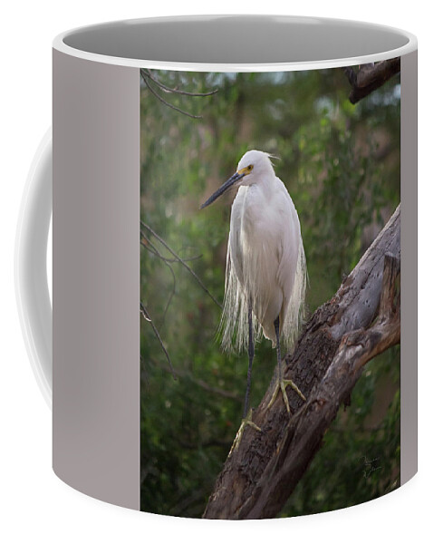 Animal Coffee Mug featuring the photograph Snowy Egret 0978 by Teresa Wilson