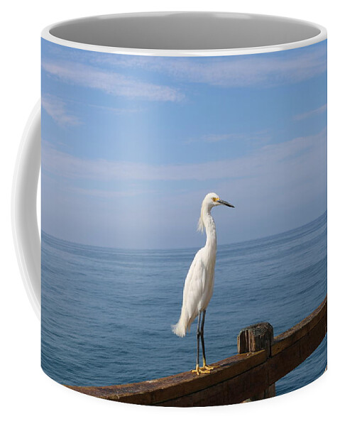 Snowy Coffee Mug featuring the photograph Snowy Egret - 4 by Christy Pooschke