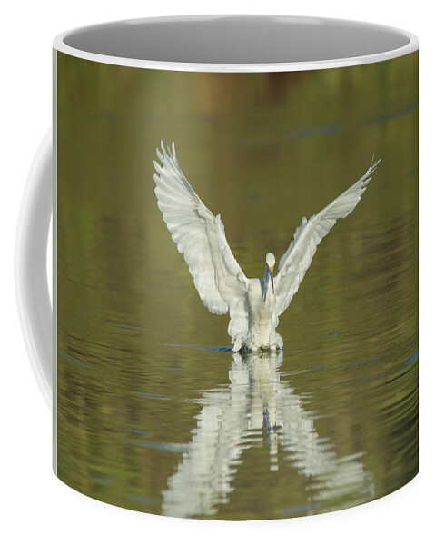 Snowy Coffee Mug featuring the photograph Snowy Egret 5601-092217-1cr by Tam Ryan