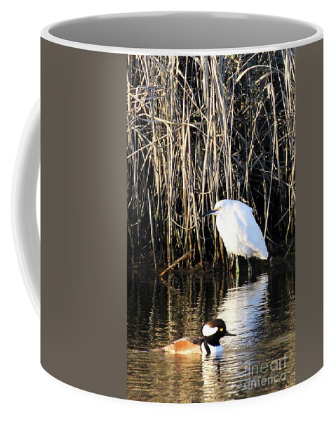 Snowy Egret And A Guy From The Hood Coffee Mug featuring the photograph Snowy Egret and a Guy from the Hood by Jennifer Robin