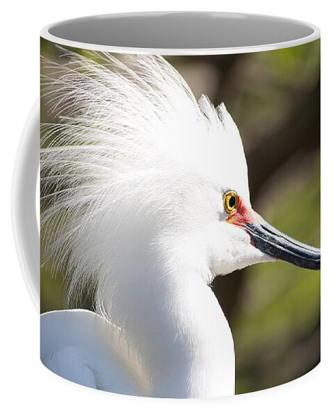 Egret Coffee Mug featuring the photograph Snowy Egret Closeup by Kenneth Albin