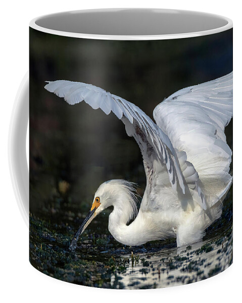 Birds Coffee Mug featuring the photograph Snowy Egret Fishing by DB Hayes