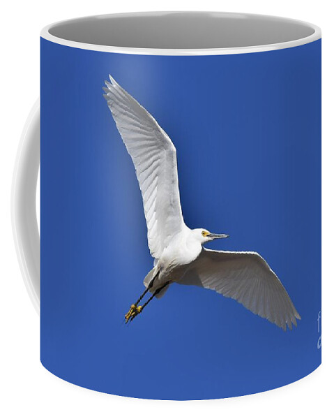 Snowy Egret Coffee Mug featuring the photograph Snowy Egret Flying High by Julie Adair