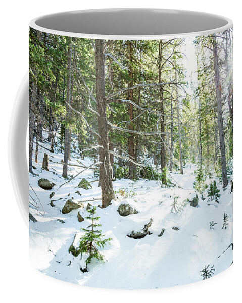 Backcountry Coffee Mug featuring the photograph Snowy Forest Wilderness Playground by James BO Insogna