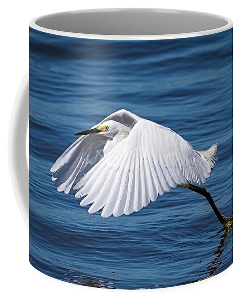 Egret Coffee Mug featuring the photograph Snowy Liftoff by DB Hayes