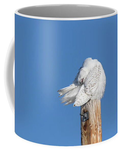 Snowy Owl Coffee Mug featuring the photograph Snowy Owl 2018-20 by Thomas Young
