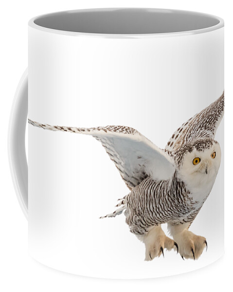 Snowy Coffee Mug featuring the photograph Snowy Owl t-shirt mug graphic by Everet Regal