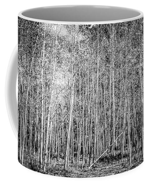  Aspen Coffee Mug featuring the photograph So Many Aspens One Fallen by Marilyn Hunt