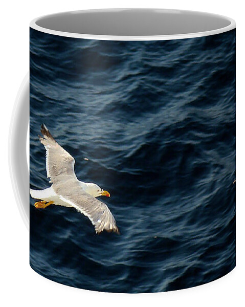 Bird Coffee Mug featuring the photograph Soaring Above the Deep Blue Sea by Sue Melvin