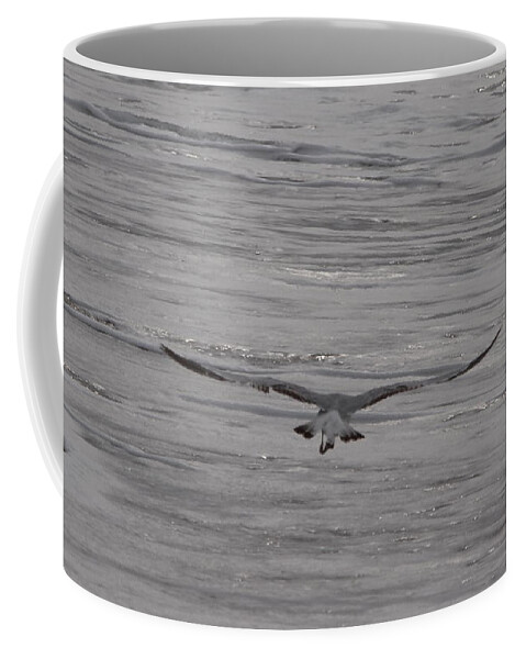 Gull Coffee Mug featuring the photograph Soaring Gull by Newwwman