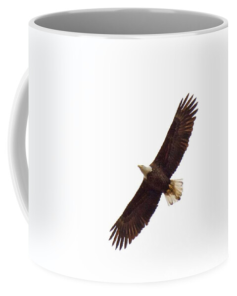 Eagle Coffee Mug featuring the photograph Soaring High 0885 by Michael Peychich