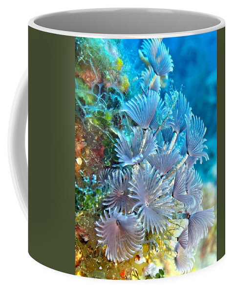 Anemone Coffee Mug featuring the photograph Social Feather Dusters on Coral Reef by Amy McDaniel