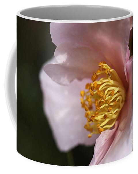 Ericales Coffee Mug featuring the photograph Soft As Camellia by Joy Watson