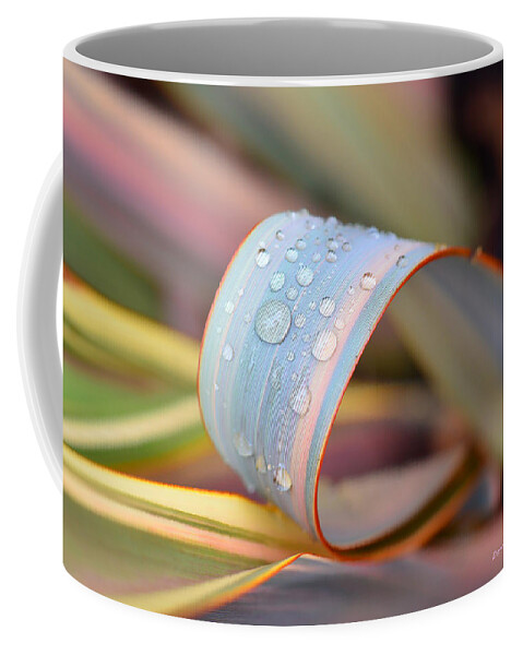 Dew Coffee Mug featuring the photograph Soft Like Morning Dew by Donna Blackhall