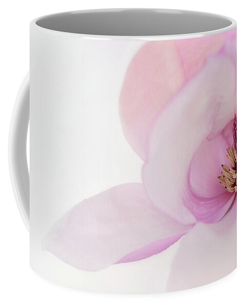 Japanese Magnolia Coffee Mug featuring the photograph Soft Nest by Mary Jo Allen