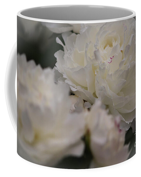 Petals Coffee Mug featuring the photograph Soft Petals by Veronica Batterson