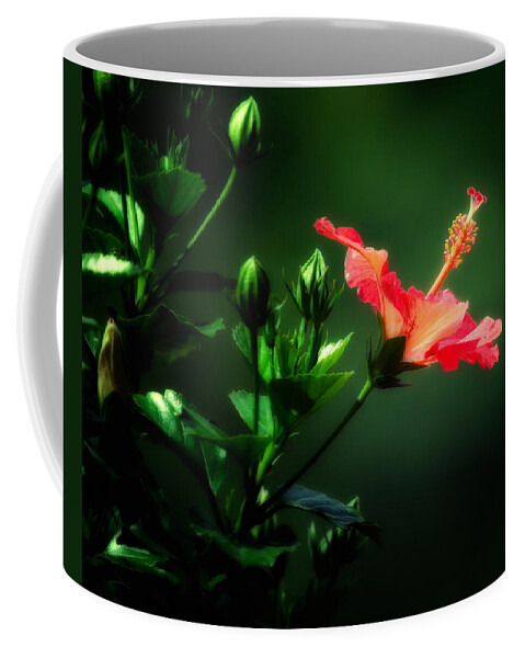 Hibiscus Plant Coffee Mug featuring the photograph Soft red Hibiscus plant by Al Mueller