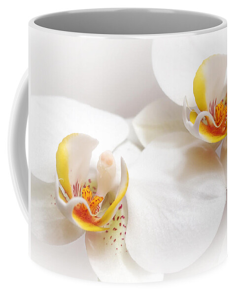 Soft White Orchid Coffee Mug featuring the photograph Soft White Orchid Pair by Gill Billington