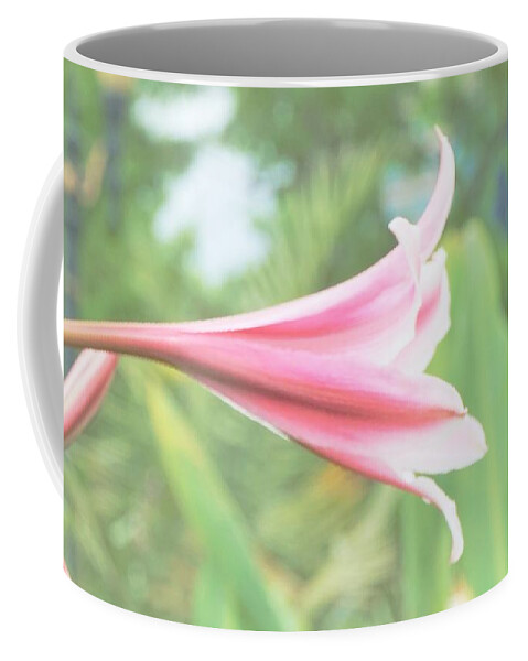 Flowers Coffee Mug featuring the photograph Softly colored by Merle Grenz