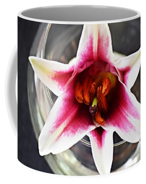 Flower Coffee Mug featuring the photograph Solitary by Deborah Crew-Johnson
