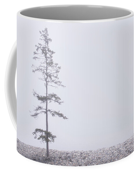 Tree Coffee Mug featuring the photograph Solitary by Holly Ross