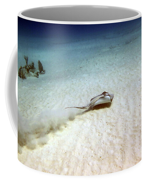 Underwater Coffee Mug featuring the photograph Solitude by Daryl Duda
