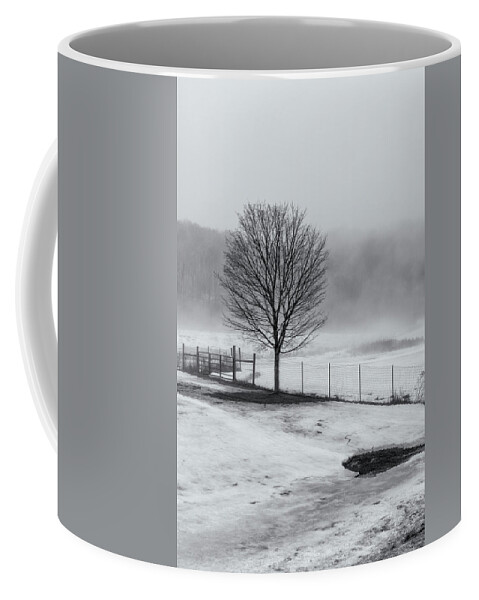 Williamsville Vermont Coffee Mug featuring the photograph Solo Tree by Tom Singleton
