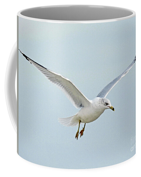 Sea Gulls Coffee Mug featuring the photograph Soloist by Jan Gelders