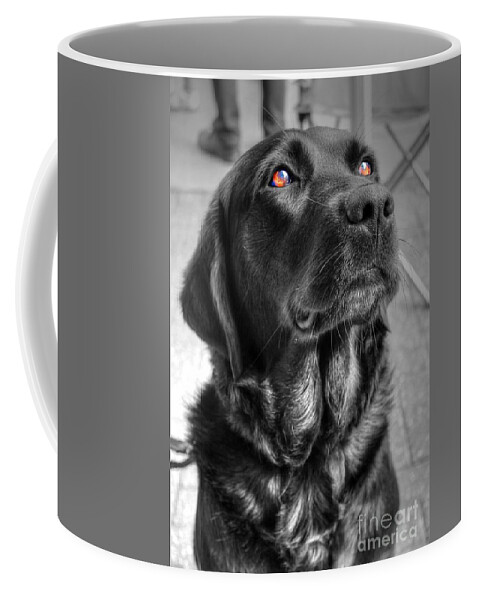 Angel Coffee Mug featuring the photograph Some Angels Have Fur by Vicki Spindler